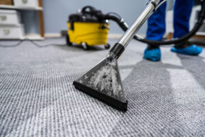 Technician professionally cleaning a commercial carpet
